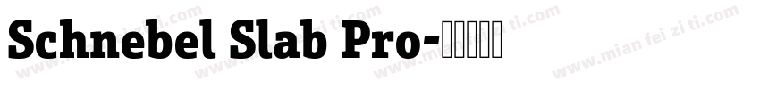 Schnebel Slab Pro字体转换